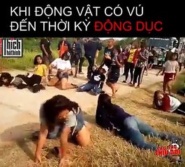 So strange dancing group