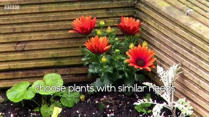 The Instant Gardener S02 E14