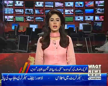 Jahangir Tareen was rightly punished, says PTI's Seema Zia