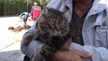 İbb Vetbüs Çekmeköy'de Hayvanları Sağlık Taramasından Geçirdi
