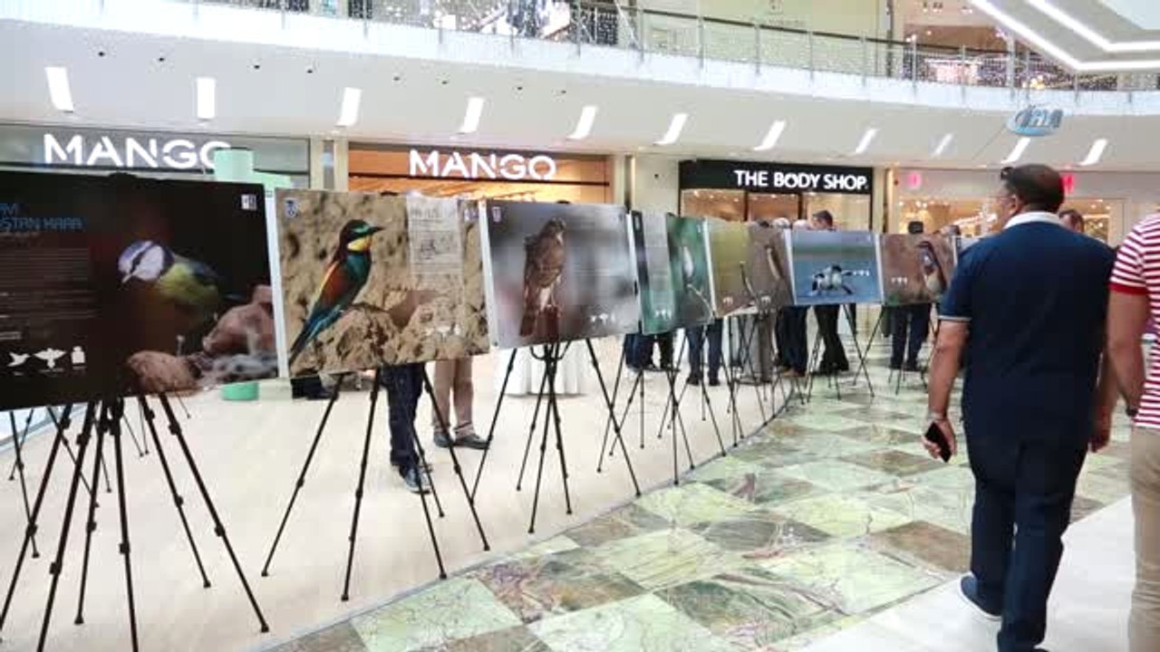 Ankara'nın Parklarında Gizlenen Özel Misafirler" Sergisi Görücüye Çıktı