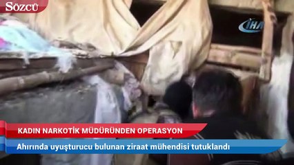 Kadın narkotik müdüründen ziraat mühendisine uyuşturucu operasyonu