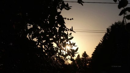 timelapse coucher soleil 7