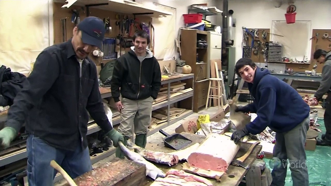 NHK Sled Dog Racing in the Northern Lights