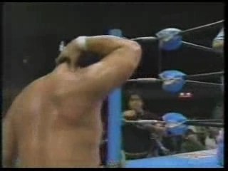 Genichiro Tenryu vs Terry Gordy