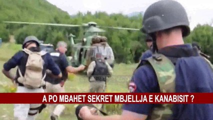 A PO MBAHET SEKRET MBJELLJA E KANABISIT?
