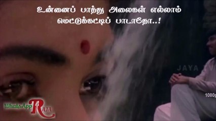 WhatsApp Ilaiyaraja Staus | Adi Aathaadi | அழகான காதல் வரிகள்