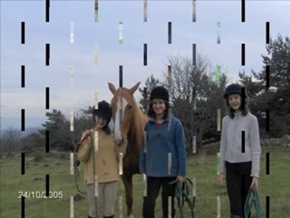 ECRiNELLES