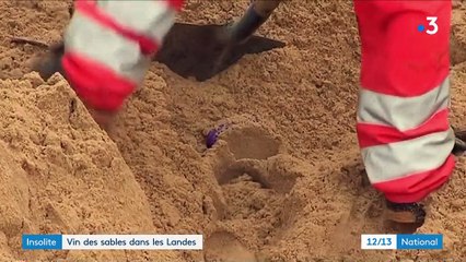 Landes : un vin expérimental vieilli sous les sables
