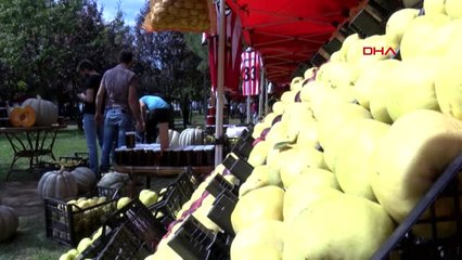 Kocaeli'nde "2. Eşme Ayva Festivali" Coşkusu