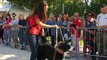 L'Isle-sur-la-Sorgue : journées portes ouvertes de la fondation Frédéric Gaillanne pour les chiens guides d'aveugles
