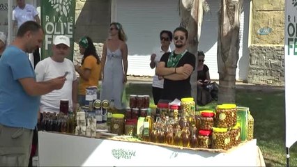 Turistler, Denizin Güneşin Keyfini Bırakıp Zeytin Hasadı Yaptı