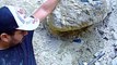 Des chercheurs de pierres précieuses trouvent une Opale bleue géante au mexique