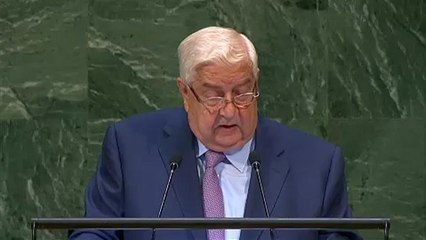 Síria apela ao regresso dos refugiados na ONU: "Batalha contra o terrorismo está quase terminada"