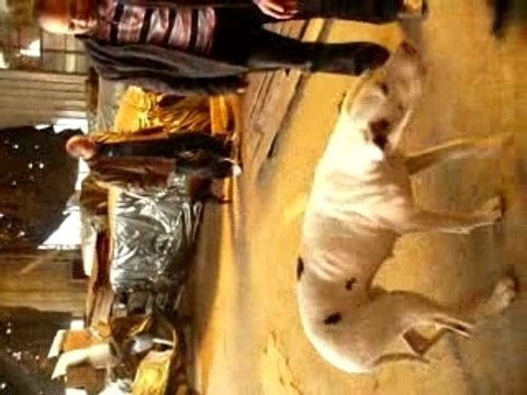 (Tags are keywords used to identify your video.