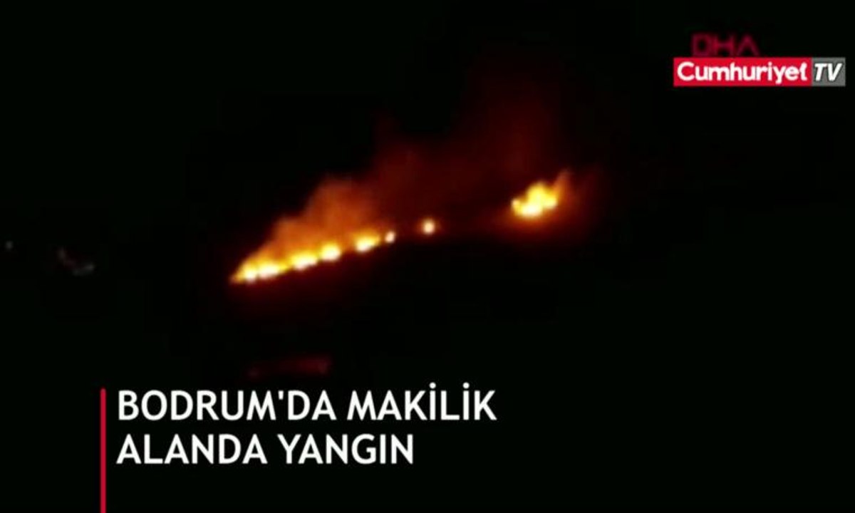 Bodrum'da makilik alanda yangın