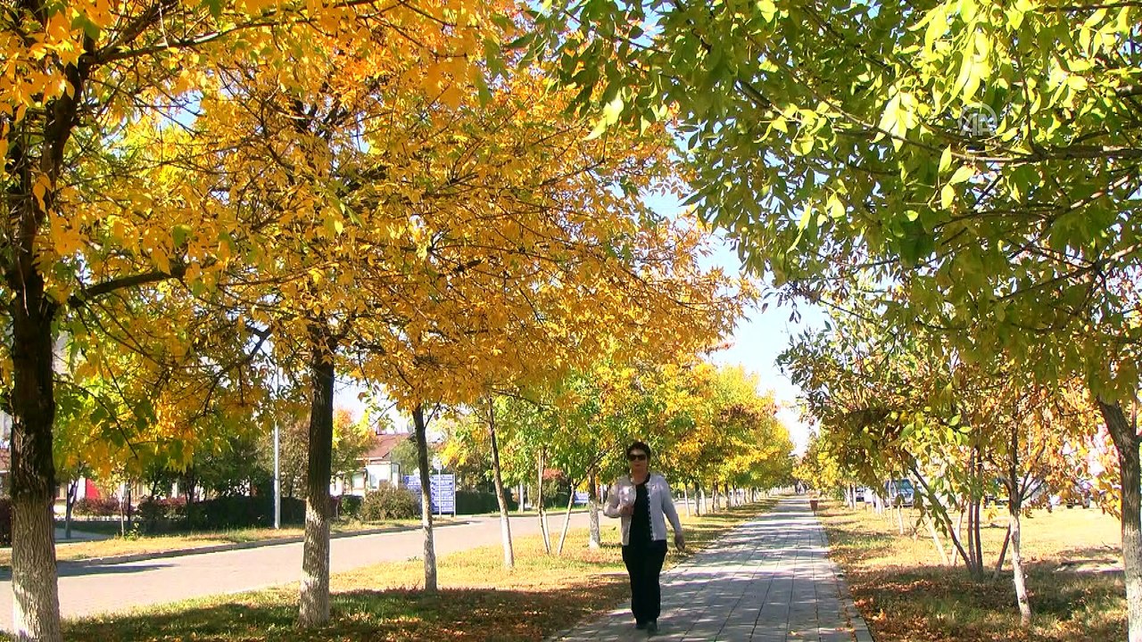Kırgızistan-Türkiye Manas Üniversitesi'nde Millet Kıraathanesi açıldı - BİŞKEK
