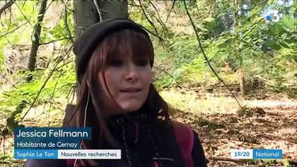 "On cherche n'importe quel indice" : dans le Bas-Rhin, les recherches s'intensifient pour retrouver Sophie Le Tan