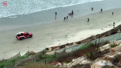 Teen diving for lobster attacked by shark in Encinitas on opening day of season