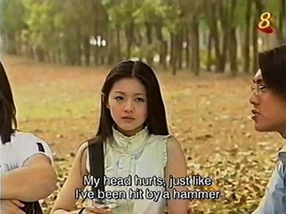 Meteor garden 3