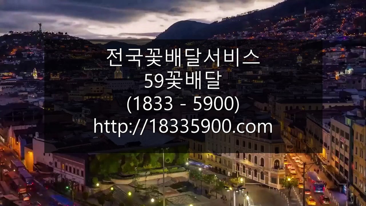 당일꽃배달서비스 1위 59꽃배달 주문전화 (1833 - 5900)