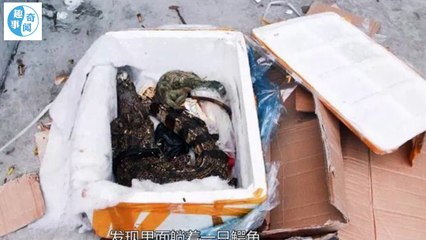 女子钟爱于网购, 当收到快递的那一刻傻了眼