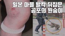 [자막뉴스] 일본 마을 발칵 뒤집은 '공포의 원숭이' / YTN