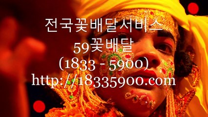 생일꽃배달서비스 꽃배달싼곳 59꽃배달 주문전화 (1833 - 5900)