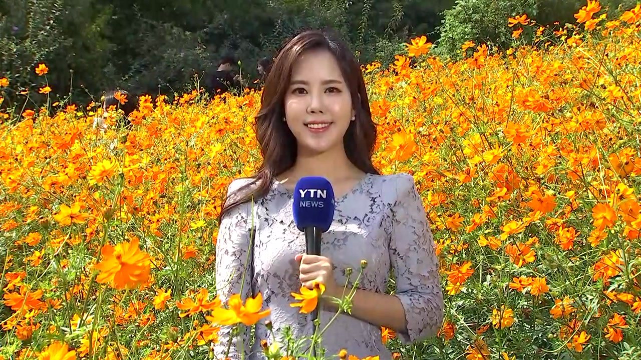 [날씨] 찬 바람 불며 서늘한 휴일...남해 태풍 영향 / YTN