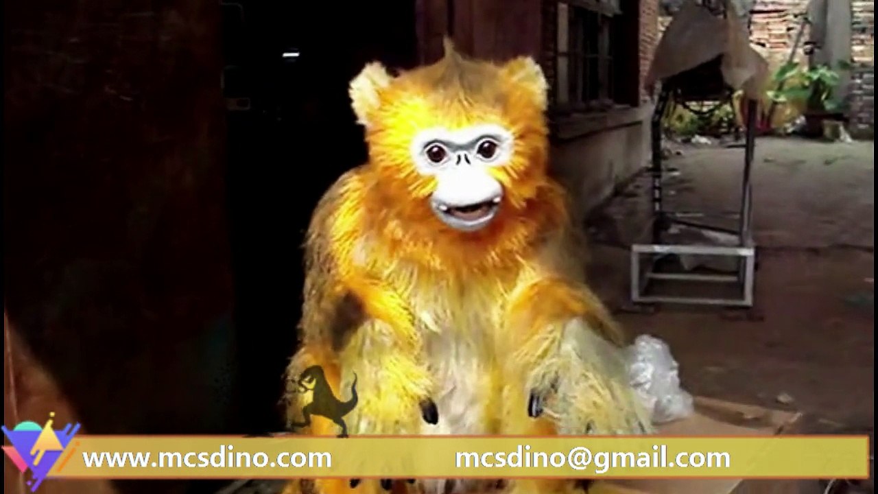 MAG005-Golden Monkey