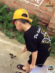 Học Dốt Chỉ Có Đi Hót Phân Là Có Thật  Khổ thân thằng bé quá