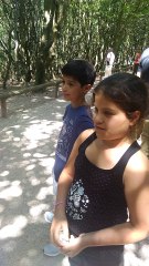 montagne des singes juin 2018 - 1