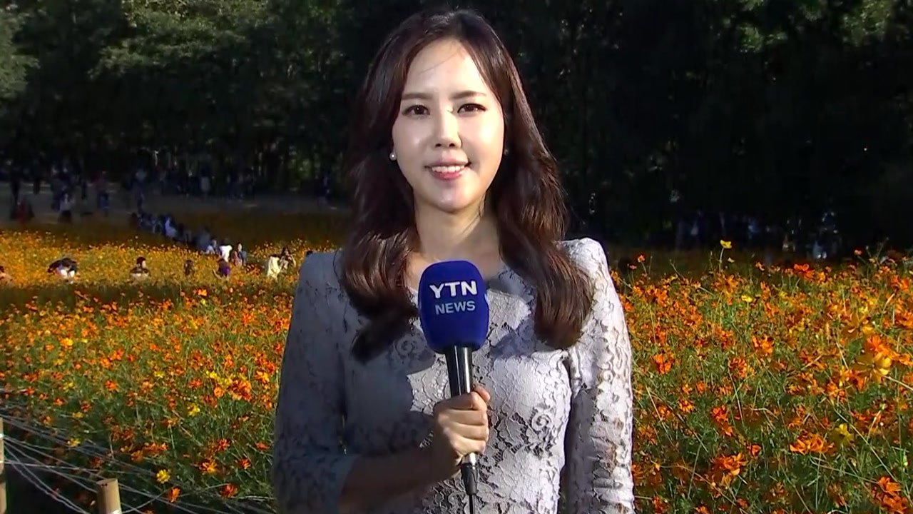 [날씨] 내일 내륙 약한 비...찬 바람 불며 쌀쌀 / YTN