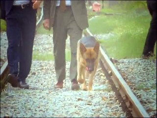 Rex, chien flic S02E02 FRENCH