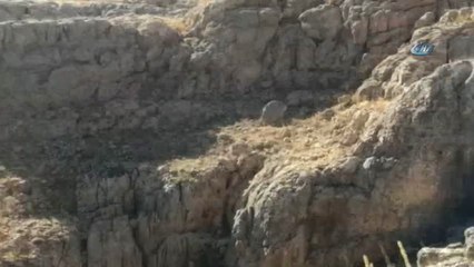 Siirt'te Terör Örgütünün Kış Üslenmesine Darbe