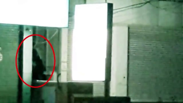 Mysterious Strange Scary Creatures Caught On Camera