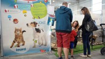 Chiots au parc expos d'Agen