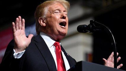 Trump and Kim ‘fell in love’ during denuclearisation talks, President declares