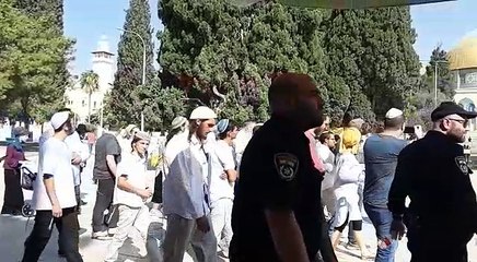مستوطنون يقتحمون ساحات المسجد الاقصى وسط حراسة مشددة