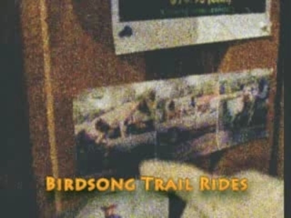 Bird_song_trail01