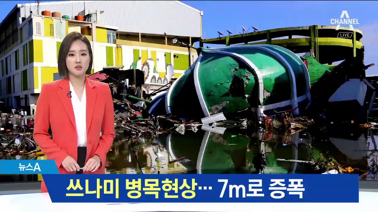 피해 키운 쓰나미 병목현상…7m 높이로 증폭