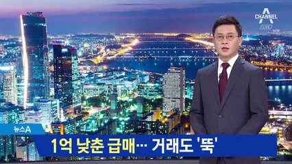 1억 낮춘 급매물 등장했는데…거래도 ‘뚝’