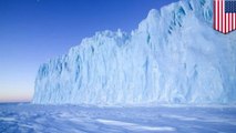 Dapatkah dinding buatan selamatkan lapisan es Antartika yang rubuh? - TomoNews