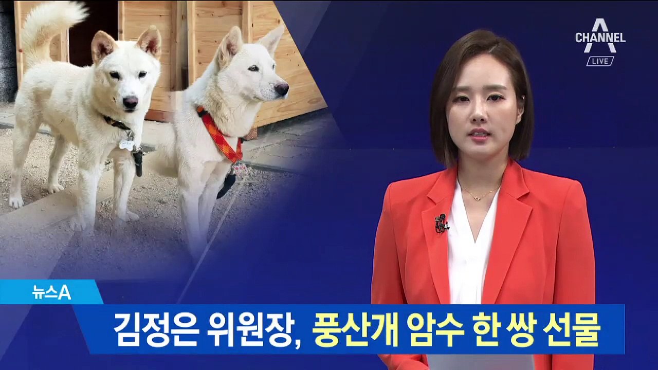 김정은 위원장, 풍산개 암수 한 쌍 선물