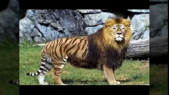 대전출장안마 010s4636s7917 아가씨미팅후결제 신용후불제 대전출장마사지 최고미녀대기중 마인드최고 교육철저 대전출장맛사지 내상절대불가 수질최한 안전한신용후불제 20대아가씨대기중 극한수위 특별한서비스