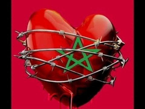 Video Chippie El Berkani -