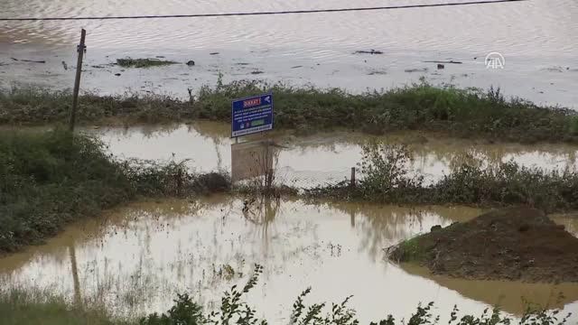 Beykoz'da Selden Kurtarılan Leo Yaşam Mücadelesi Veriyor
