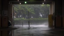 الإعصار ترامي يجتاح اليابان ويسفر عن عشرات جريحا