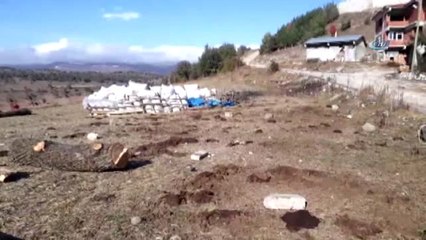 Tokat'ta 120 Bin Liralık Büyükbaş Hayvan Hırsızlığı