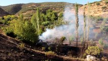 Makilik ve ormanlık alanda yangın - HATAY